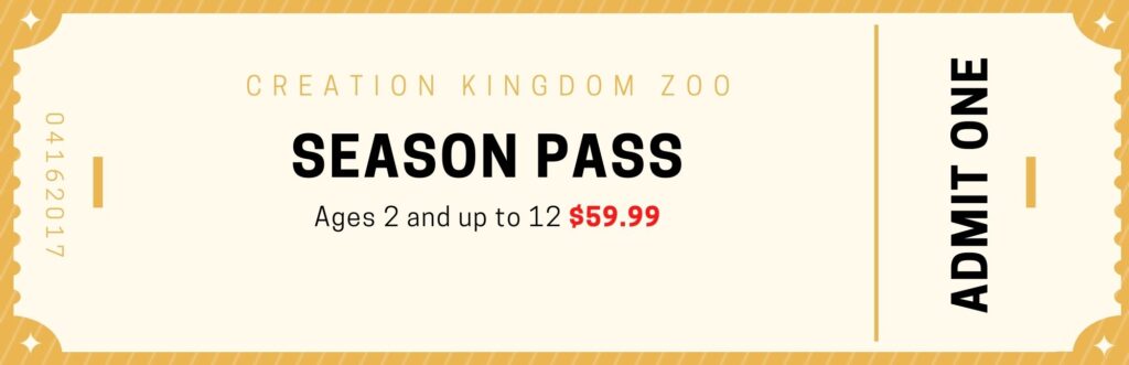 Season Pass Age 2 and up 12